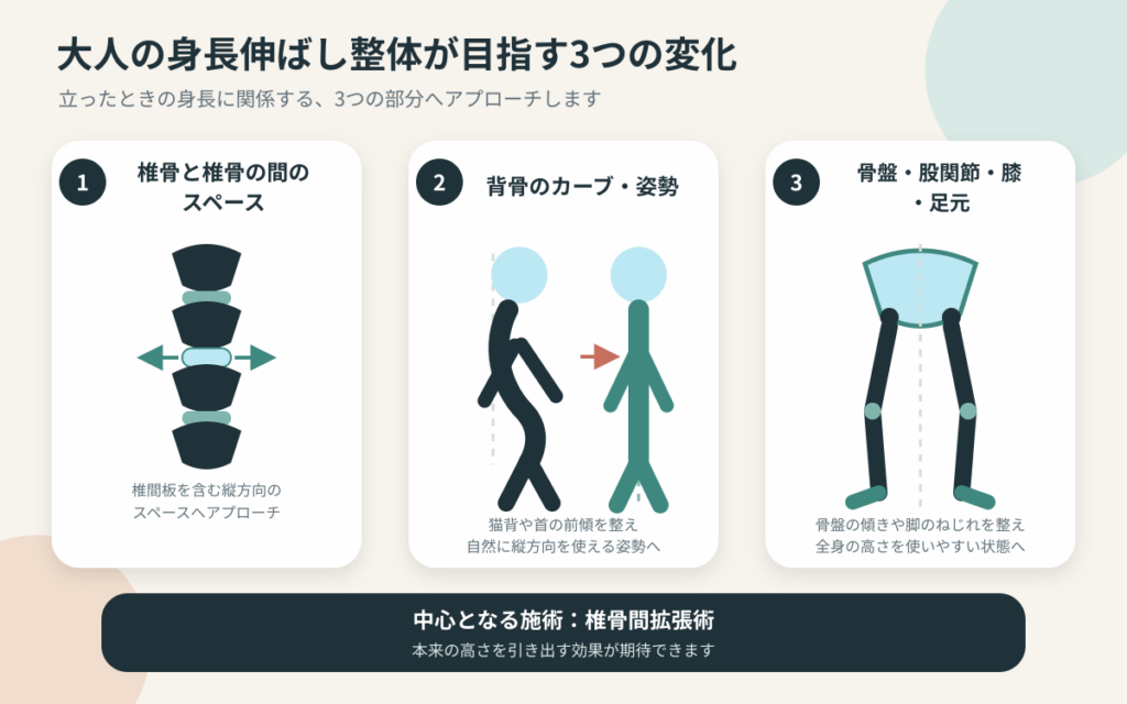 大人の身長に関係する椎骨間のスペース・姿勢・骨盤と脚